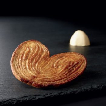 Le palmier