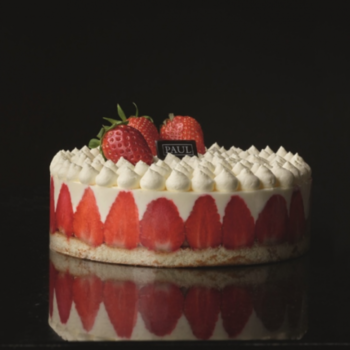 Le fraisier à la chantilly 6 parts